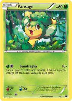 Card BW11