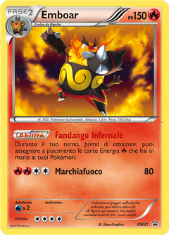 Card BW21