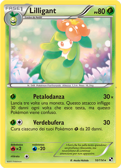 Card 10