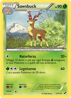 Card 14
