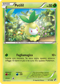 Card 9