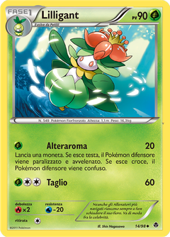 Card 14
