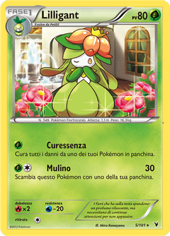 Card 5