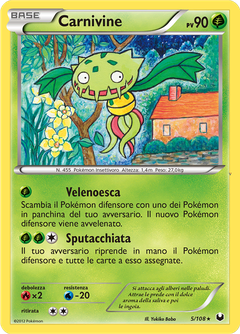 Card 5