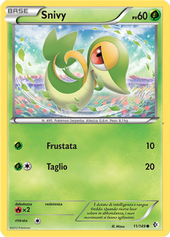 Card 11