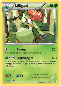 Card 17