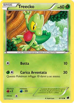Card 6
