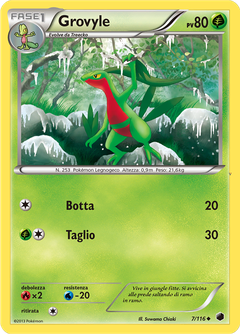 Card 7