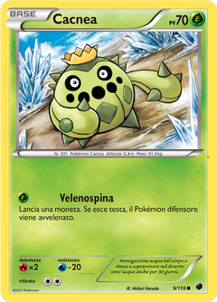 Card 9