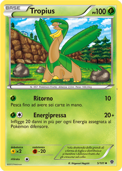 Card 5