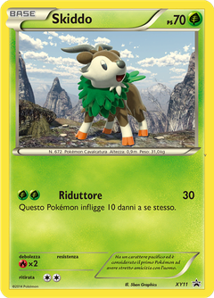 Card XY11