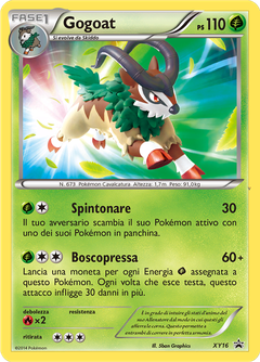 Card XY16