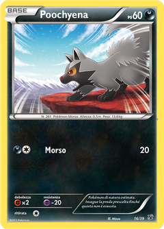 Card 16