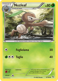 Card 6