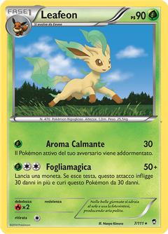 Card 7