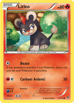 Card 11