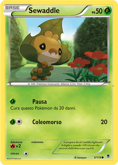Card 5