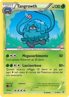 Card 5