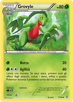 Card 7