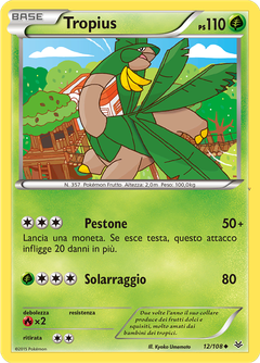 Card 12