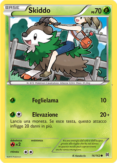 Card 16