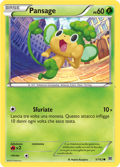 Card 5