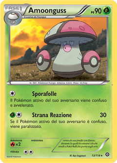 Card 13