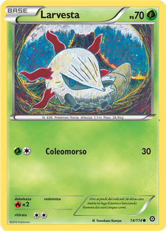 Card 14