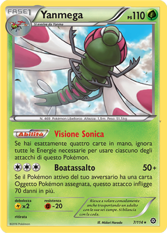 Card 7